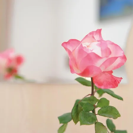 Bed & Breakfast Hotel-garni Seestrand Zell am See