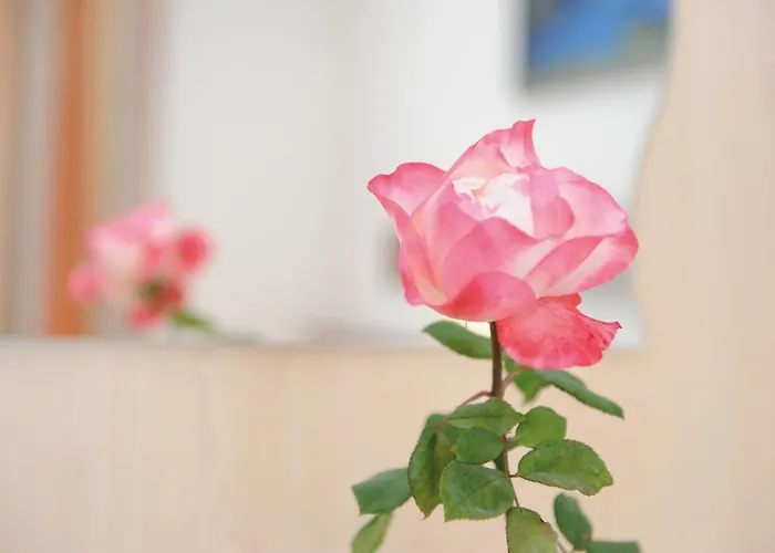 B&B Hotel-garni Seestrand 젤암제